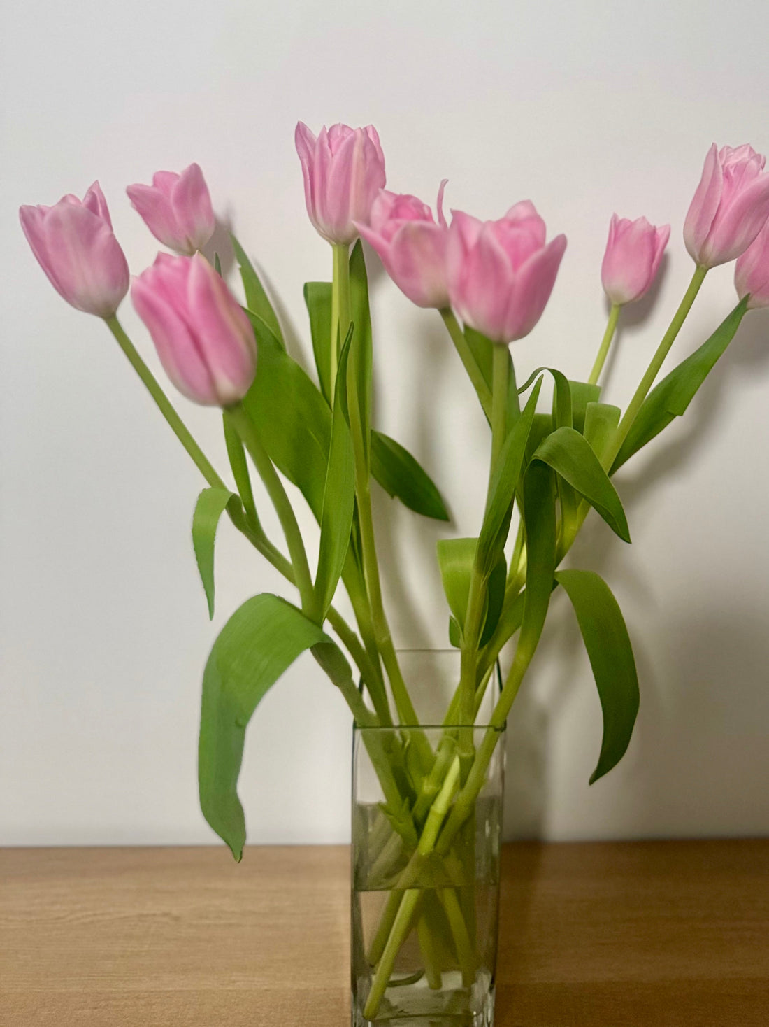 August at Middle Park Florist