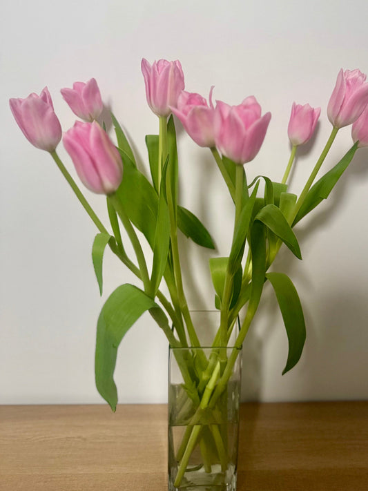 August at Middle Park Florist