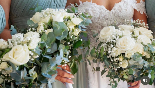 July at Middle Park Florist: A Little Winter Pause